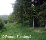 Studánka Ohloběnka