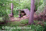 Studánka Ohloběnka