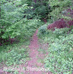 Studánka Ohloběnka